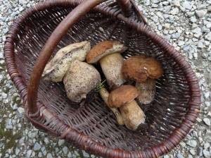 Cepe mushrooms, image from www.domainedulac.blogspot.com