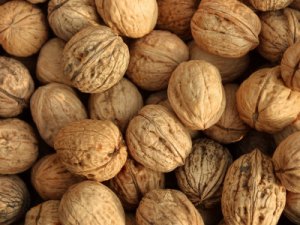 walnuts_Foods_You_Must_Eat_Every_Day
